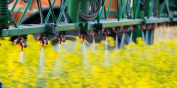 Žemės ūkio ministerija patikslino augalų apsaugos produktų naudojimo reikalavimus purškiant žydinčius augalus