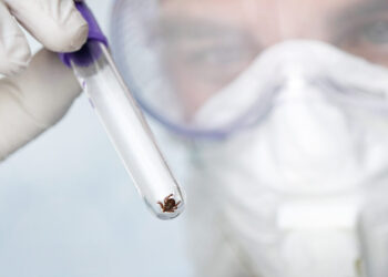 Erkės sukelia sunkias ligas