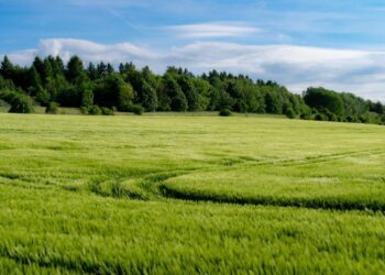 Žemės ūkio naudmenų ir pasėlių deklaravimas – kas keičiasi?
