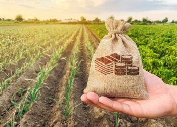 Patvirtinti ekosistemų išmokų dydžiai už neariminę žemdirbystę, šlapynių tvarkymą