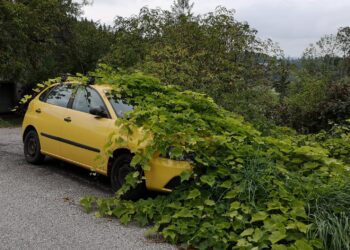Automobilio kelionė baigėsi eismo įvykiu