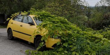 Automobilio kelionė baigėsi eismo įvykiu