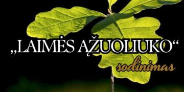 „Laimės ąžuoliuko“ sodinimas