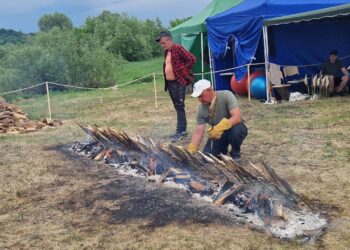 Kriūkuose vyko tradicinė Žiobrinių šventė