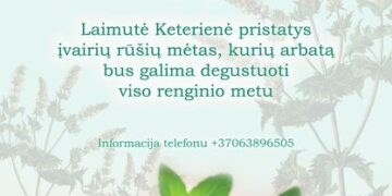 AROMATINGAS MĖTŲ VAKARAS