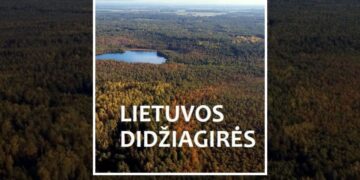Algirdo Bruko ir Gintauto Mozgerio knygos „Lietuvos didžiagirės“