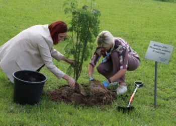 Bendrijos „Viltis“ Marijampolės padaliniui – 30 metų