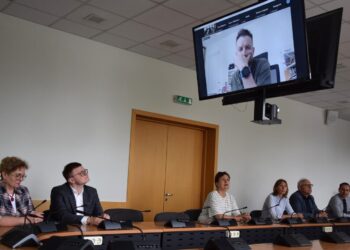 Visuomenei pristatyta Vilkaviškio miesto dalies žalinimo schema