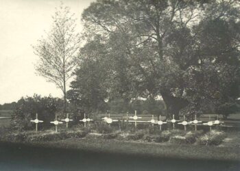 Galimai Ąžuolų Būdos apylinkės - vokiečių karių kapai