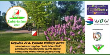 Labirintas 2024 - 6-asis turas