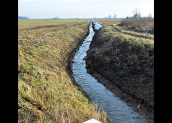 Sureguliuotas Skriaudupio upelis