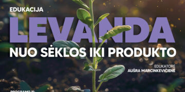 Edukacija „LEVANDA. NUO SĖKLOS IKI PRODUKTO” | Igliškėliai