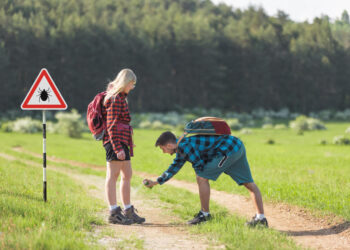Naudingi patarimai, kaip apsisaugoti nuo erkių
