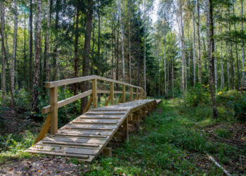 Buktos pažintinis takas