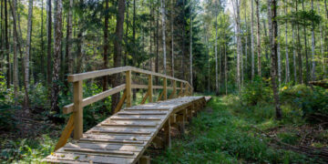 Buktos pažintinis takas