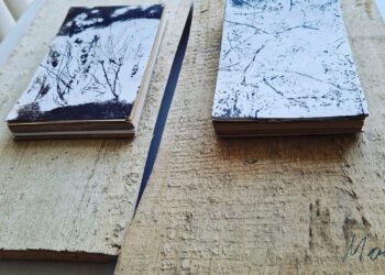 Kalvarijos bibliotekoje - Marijos Marcelionytės-Paliukės paroda