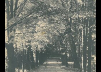 Marijampolės miesto sodas tarpukaryje