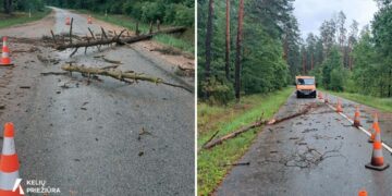 Pikti komentarai iš Kazlų Rūdos mero dėl audros Lietuvoje valdymo – kaip savivalda Sūduvoje sureagavo į gamtos stichiją?
