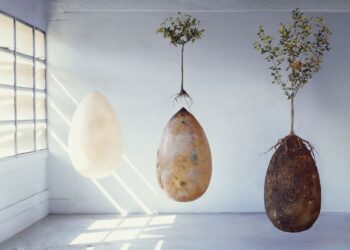 Ekologiškos ir tvarios laidotuvės: ar sutiktumėte, kad jūsų kūnas būtų kompostuotas?