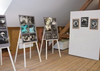 Zanavykų muziejuje - 95-osioms A. Zoko gimimo metinėms skirta paroda