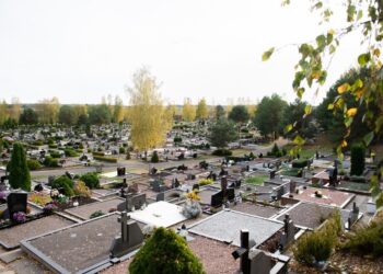 Kapinės