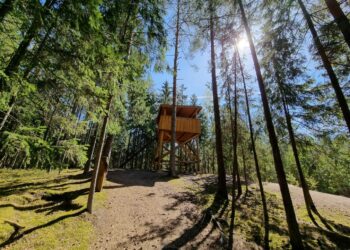 Kazlų Rūdos pažintinis miško takas