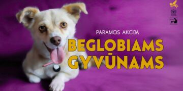 Paramos akcija beglobiams gyvūnams