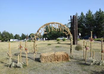 Petrinės Bartninkuose