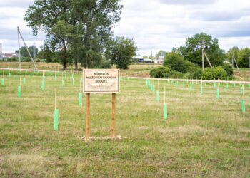 Marijampolėje – dar viena žalioji erdvė