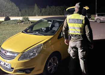 Laikinai Prancūzijoje gyvenantis Afganistano pilietis pasieniečius mėgino apmauti albaniška klastote