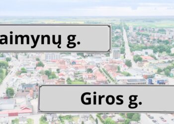 L.Giros gatvė vadinsis Giros gatve, P. Cvirkos – Kaimynų
