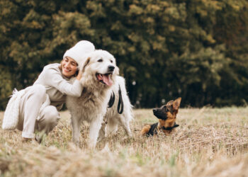 Kiek prarastų dantų galima atkurti su dantų implantais?