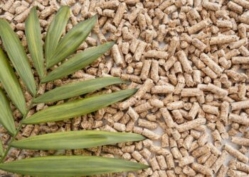 Kaip pasirinkti geriausią granulinį katilą jūsų namams? – Ekspertų patarimai