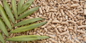 Kaip pasirinkti geriausią granulinį katilą jūsų namams? – Ekspertų patarimai