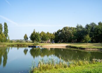 Aktyvi bendruomenė puošia Santarvės parką