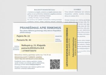 Pasitikrinkite pašto dėžutę: pradedami platinti pranešimai apie Seimo rinkimus