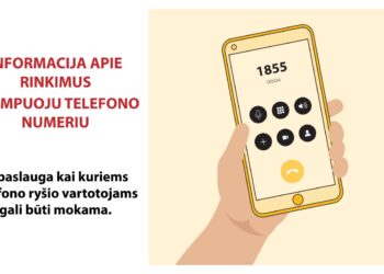 Svarbiausia informacija apie Seimo rinkimus – trumpuoju numeriu 1855
