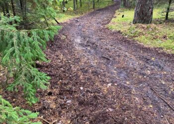 Reido metu protokolai surašyti nelegalių lenktynių dalyviams