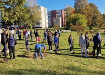 Sakurų parkas Šakiuose - bendruomenės vienybės simbolis