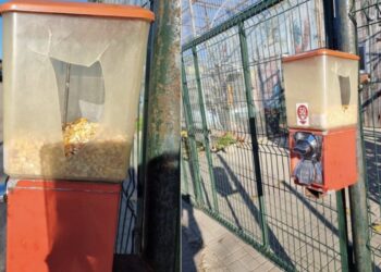 Kalvarijos gimnazijos mokiniai nusiaubė zoologijos sodą