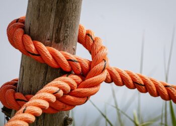 Geriausias proteinas – baltyminiai papildai 2024 m.: kaip išsirinkti tinkamiausią jūsų poreikiams?