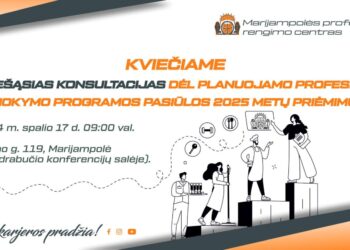 Viešosios konsultacijos