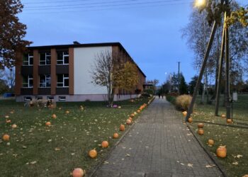 Jungėnų pagrindinės mokyklos prieigose - įspūdinga moliūgų alėja