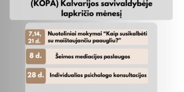 Individualios psichologo konsultacijos