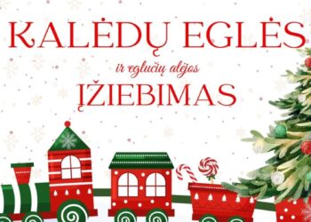 Kalėdos Kalvarijoje: su natūralia eglute, šventiniais renginiais ir bendruomenės dvasia