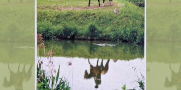 Birutės Nenėnienės fotografijų parodos „Tėviškės ramybėje“ atidarymas