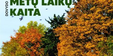 Laisvojo menininko Dovydo Stralkaus fotografijų parodos „Amžinoji metų laikų kaita“ atidarymas. Fotokalendoriaus „Retrospektyva“ pristatymas