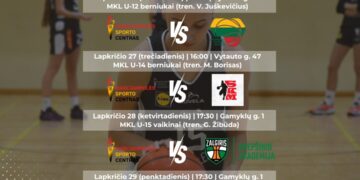 MSC krepšinio rungtynės lapkričio pabaiga