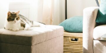 Plisuotos žaliuzės mažiems langams – funkcionalus ir stilingas erdvės optimizavimo sprendimas