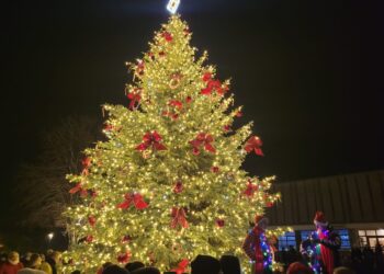 Kalvarijoje įžiebta Kalėdinė eglė